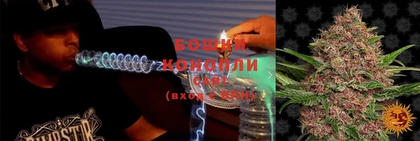 ешки Аркадак
