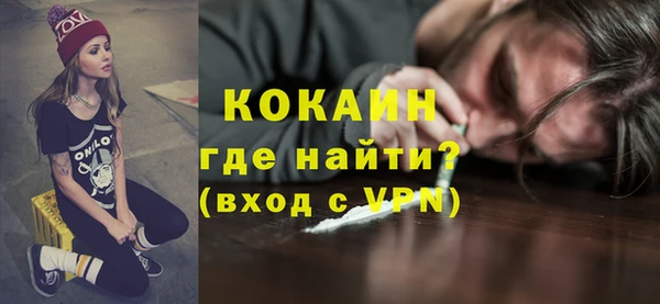 дживик Снежногорск