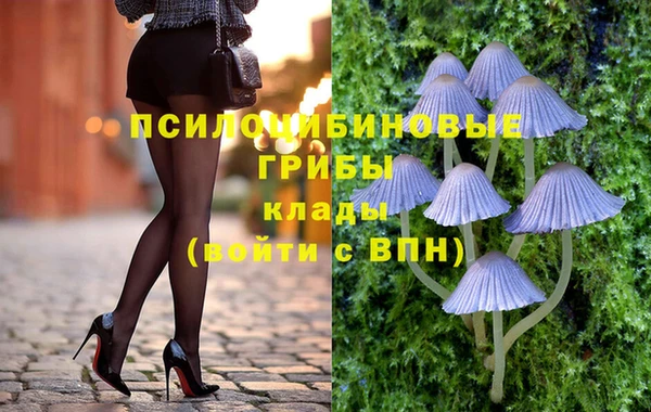 крисы Арсеньев