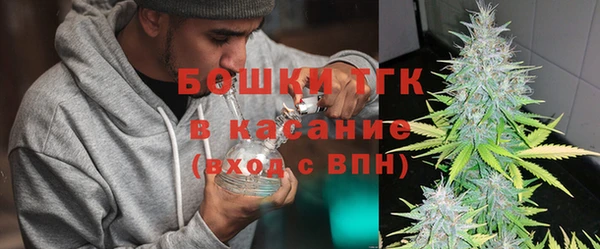 ешки Аркадак