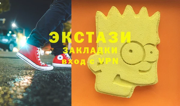 индика Слюдянка