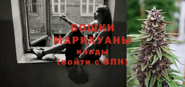 крисы Арсеньев