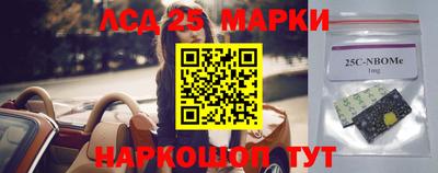 гидропоника Бийск