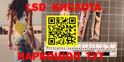 гидропоника Бийск