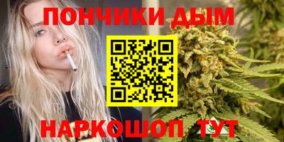 гидропоника Бийск