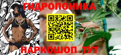 скорость Берёзовский