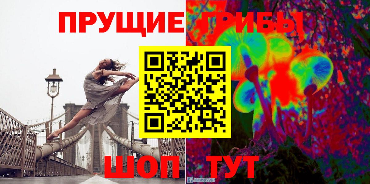 Псилоцибиновые грибы Cubensis  Гатчина 