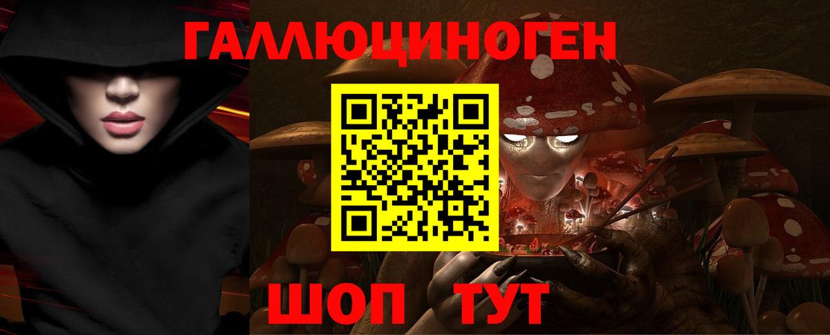 Гатчина  Галлюциногенные грибы Psilocybe  Вход с VPN 